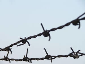 barbed wire